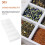 Caja Organizadora De Té Transparente Con 10 Compartimentos PP 8