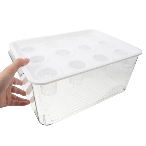 1 Set Transparent För Vandrande Växter Och Små 2