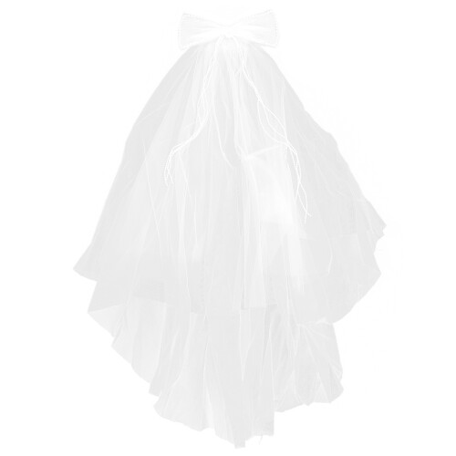 Elegant Brudslöja Till Bröllop
