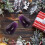 6Pcs Emulation Eggplant Vegetable Decor Educational Photo Prop 5