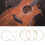 Durable Acoustic Guitar String Set 6Pcs Phosphor Copper Alloy Smooth 5