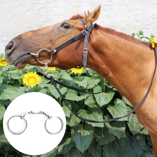 Sturdy Stainless Dee Bit Snaffle - Easy Install Smooth Surface