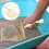 Cat Litter Scoop, Rostfritt Nät, Kattavfallsskopa 5
