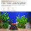 2St Vulkanen Aquarium Ornamenten Kleurige Hars Creaties 6