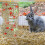 Chewing Pet Hanging Swing Net Composite Material 1set 5