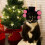 Kattmössa Djurklädsel För Halloween 11