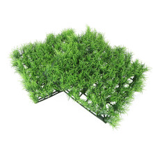 6 Pcs Vattengräs Mikrolandskap Akvariedekoration