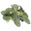4St Akvarielandskapsdekoration, Simulerad Akvarieplant 1