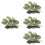 4St Akvarielandskapsdekoration, Simulerad Akvarieplant 8