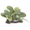 4St Akvarielandskapsdekoration, Simulerad Akvarieplant 2