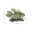 4St Akvarielandskapsdekoration, Simulerad Akvarieplant 11