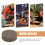 35 Pcs Bärbara Tändblock För BBQ, Camping, Picknick 6