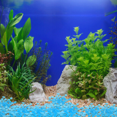 100Pcs Fiskbäddsstenar Akvariedekoration 2