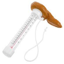 Flytande Pooltermometer För Vattentemperatur I Poopdesign