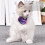 4Pcs Chic Husdjursklocka Justerbart Halsband För Katt 10