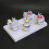 4-Stage Human Lumbar Vertebrae Model — Normal & Pathological, PVC 4