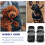 4 Unidades Botinhas Antirrisco Para Patas De E Cachorro 9