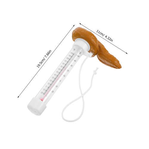 Flytande Pooltermometer För Vattentemperatur Läsa 2
