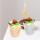 100Pcs Cupcake Liners Muffin Pappersklädsel Baka Cup Holder 2