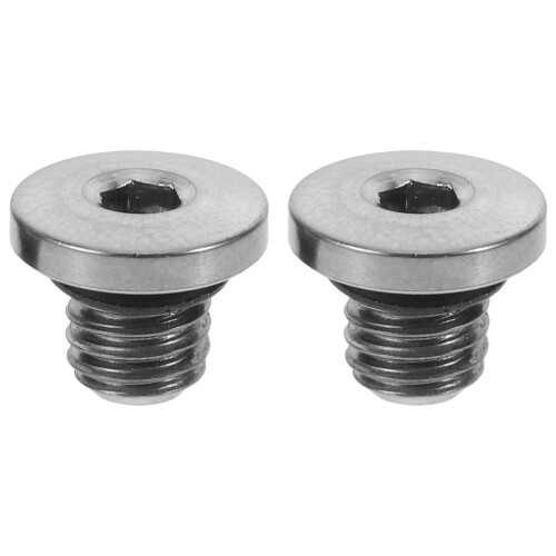 2Pcs Mountainbike Bremsservofälgskruvar M5x5-8 För