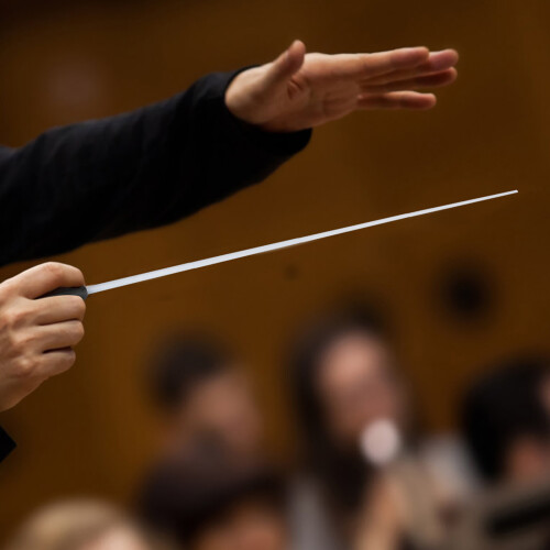 Music baton professional 1pc with resin handle - Black 2