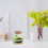 2Sats Transparent Glasvas Hydroponisk Planter Med Mat För Hem 5