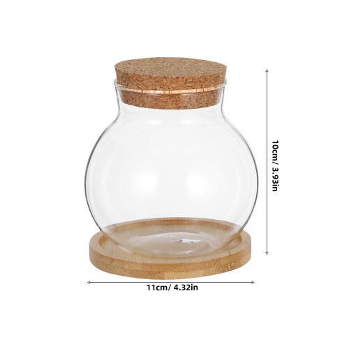 2Sats Transparent Glasvas Hydroponisk Planter Med Mat För Hem 1