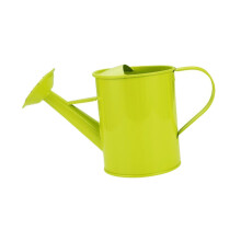 Iron Art Watering Can For Kids, Boy Girl Design, Metal Garden Tool, Decorative Iron Watering Can