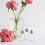 20 St Mini Glasflaskor Med Korklock För DIY Önskeflaskor 7