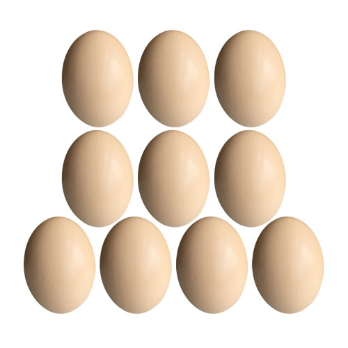 10Pcs Påskträeggs DIY Simuleringsägg Målningsträeggs Graffitiägg Beige