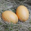 10Pcs Påskträeggs DIY Simuleringsägg Målningsträeggs Graffitiägg Beige 9