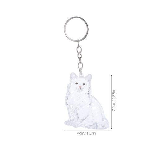 Cat Hair Keepsake Nyckelring: Transparent Katt 1