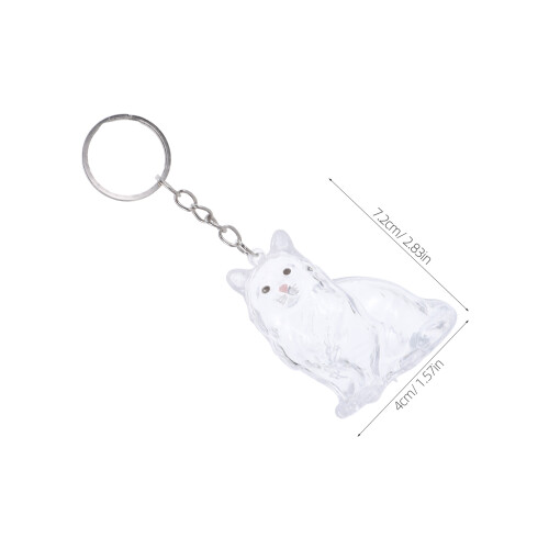Cat Hair Keepsake Nyckelring: Transparent Katt 2