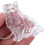Cat Hair Keepsake Nyckelring: Transparent Katt 4