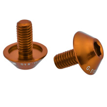 Goldfarbene M5 x 12mm Schrauben für Fahrrad-Wasserflaschenhalter – 2er Pack – Fahrradzubehör-Befestigungen