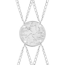 4 St Väninnahalsband Fint Examenshalsband Present För (Silver)