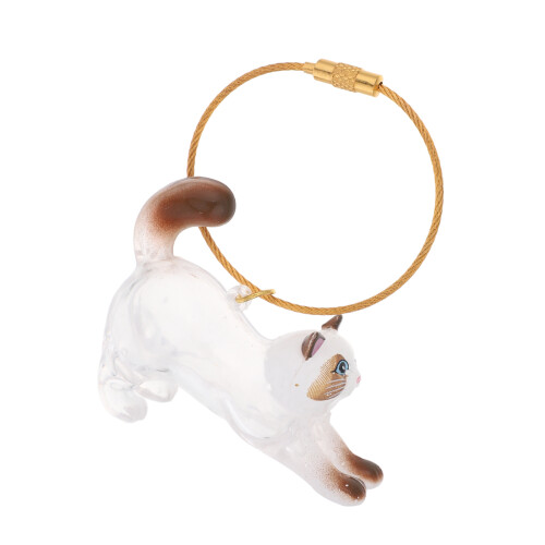 Pet Hår Förvaringsnyckelring: 3D Kattformad Transparent