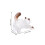 Pet Hår Förvaringsnyckelring: 3D Kattformad Transparent 3