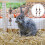 2St Tuggsten Leksaker Molar Tillbehör För Hamster Kaniner 4