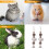 2St Tuggsten Leksaker Molar Tillbehör För Hamster Kaniner 11