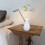 10Pcs Rattanpinnar Med För Aromatolj Diffusor 4