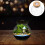 Glass Terrarium Korklock För Hydroponisk Förökning 11