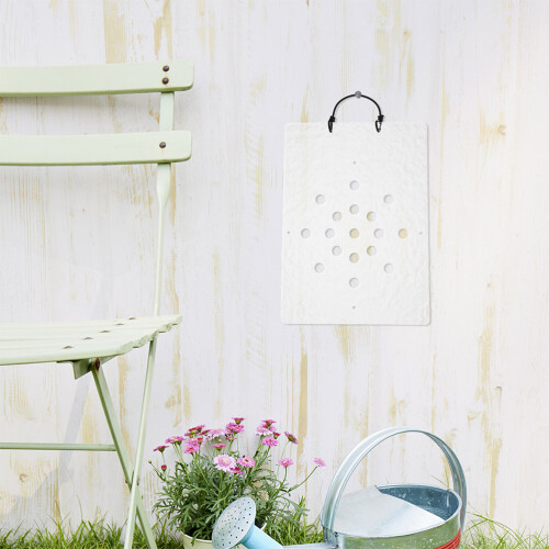 Bärande Bräda Akryl Väggupphängd Blomlåda För Orkidéer 2