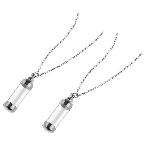 2St Halsband För Husdjursaskor Minneslås