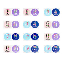 24Pcs Flickor Pojkar Milestone Dekaler