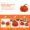 Artificial Pumpkins Decoration Table Thanksgiving Party Layout Prop 11