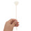 120 Pcs Rattan Flower Sticks Doftdiffusor Aromaoildiffusor 6