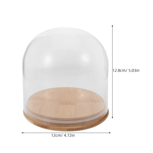 Glasbågad Cloche Med Klar För Samlarföremål 2