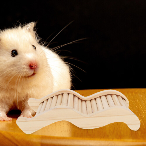 Hamsterlekplats Med Råtta För Chinchilla 2