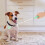 2Pcs Interactive Dog Training Sticks Puppy Training Tool 6